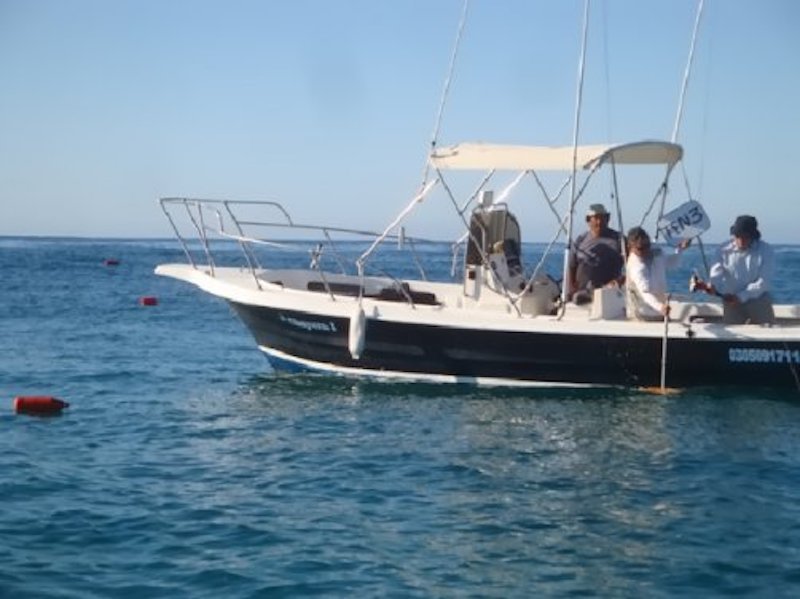 Servicios de Geofísica