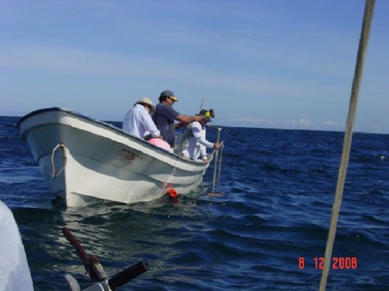 Servicios de Geofísica